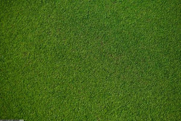 高青县体育教练员培训班的开设情况